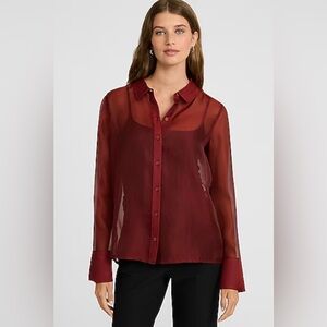 Express Sheer Button Down Blouse